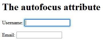The Autofocus attribute