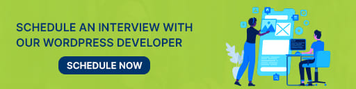 Schedule an interview with WordPress developers