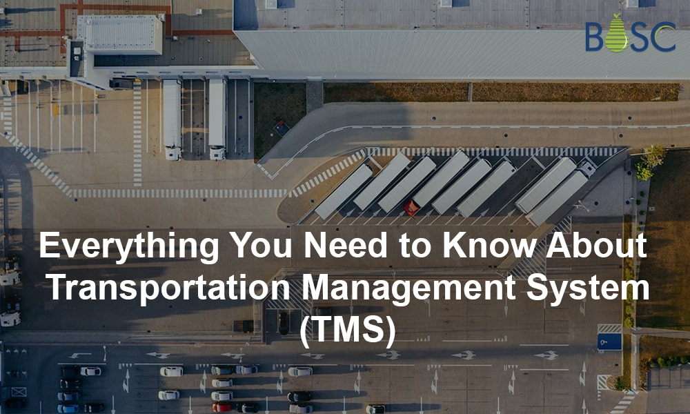 Transportation Management System (TMS): A Comprehensive Guide