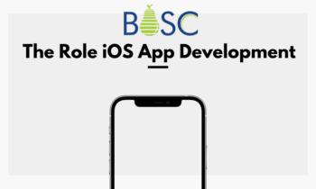 The Role iOS App Development
