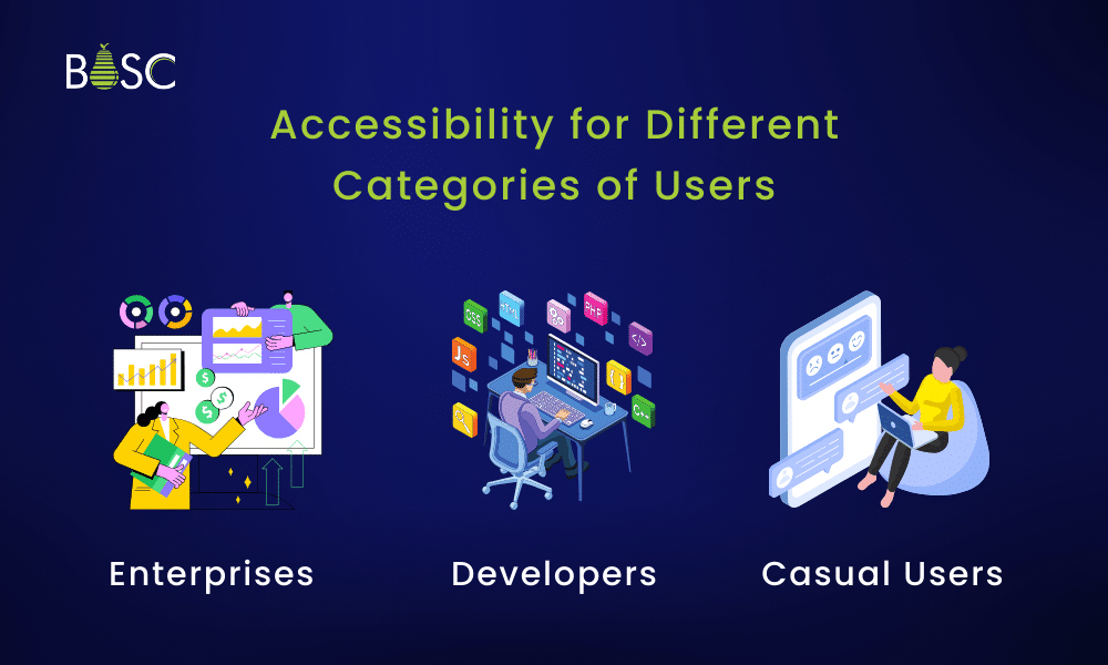 Accessibility for Different Categories of Users